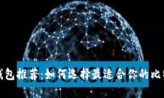 比特币钱包推荐：如何选