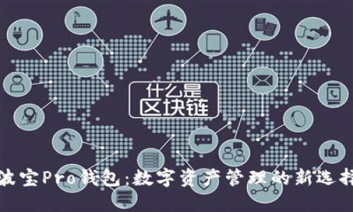 波宝Pro钱包：数字资产管理的新选择