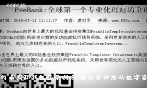 比特币国际钱包登录指南：轻松管理您的数字资产