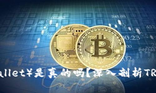 波点钱包（Dot Wallet）是真的吗？深入剖析TRX投资与使用体验