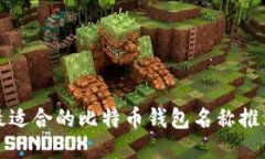 最适合的比特币钱包名称