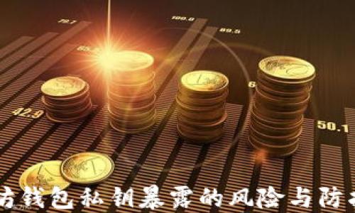 
以太坊钱包私钥暴露的风险与防护指南