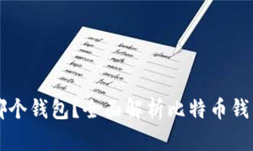 比特币保存在哪个钱包？全面解析比特币钱包的选择与使用