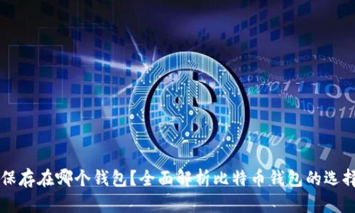 比特币保存在哪个钱包？全面解析比特币钱包的选择与使用