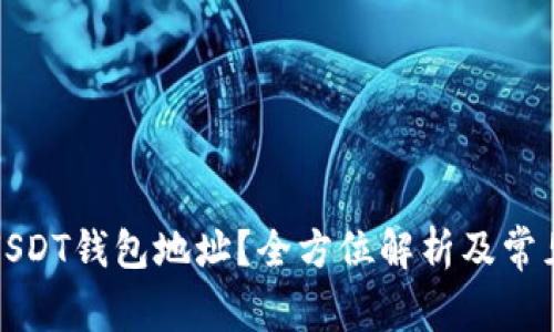 如何查询USDT钱包地址？全方位解析及常见问题解答
