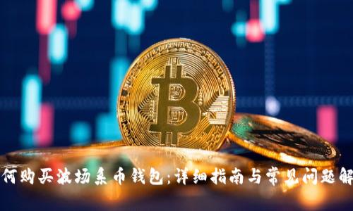 如何购买波场系币钱包：详细指南与常见问题解答