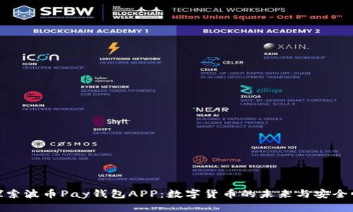 探索波币Pay钱包APP：数字货币的未来与安全性