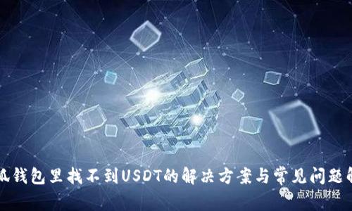 小狐钱包里找不到USDT的解决方案与常见问题解析